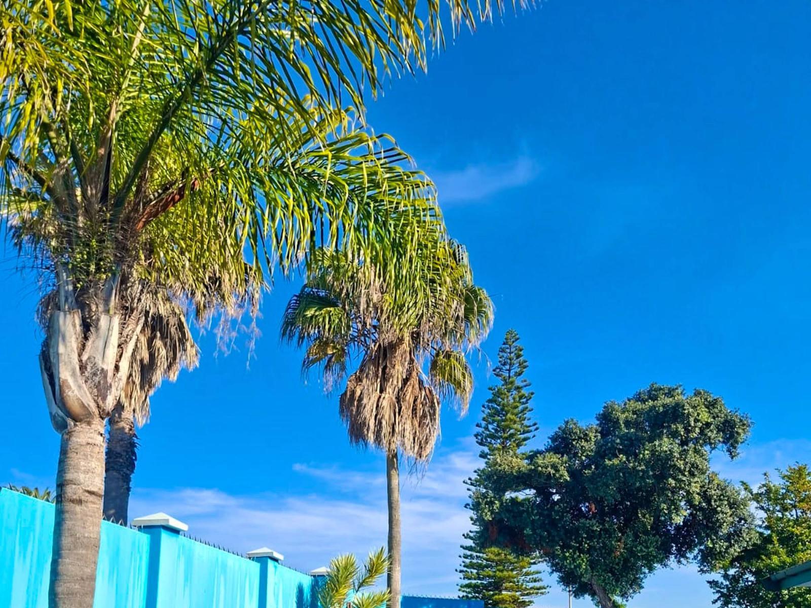Driftsands Guest House