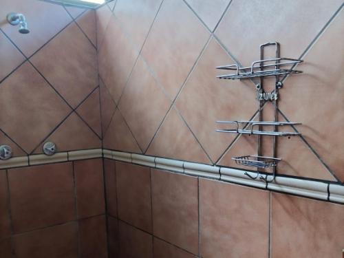 Safari En Suite Single Bed Tents