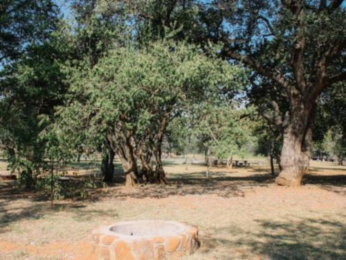 Campsite bring own tent or caravan