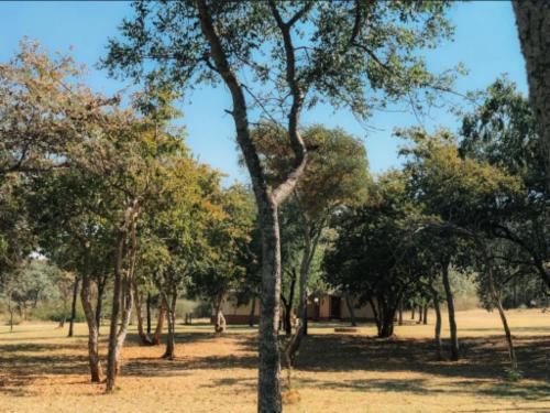 Campsite bring own tent or caravan