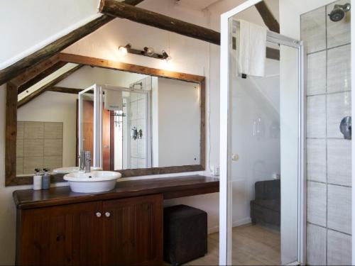 Dolphin Family Suite 3 bedroom
