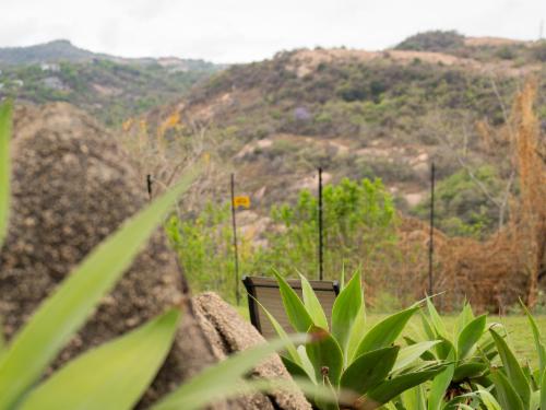 Mountain View Superior