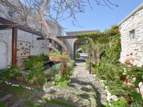 FULL HOUSE RENTAL 6 ROOMS