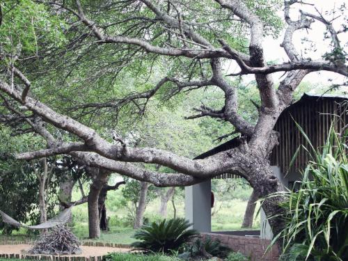 Self-Catering Cottage