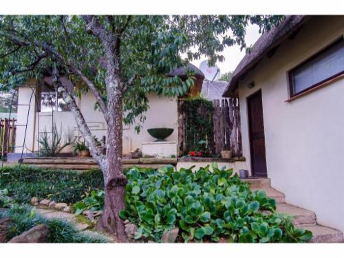 The Owl Family Cottage