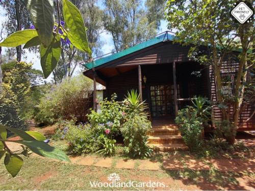 Ibis Chalet