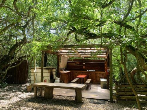 Forest Camp