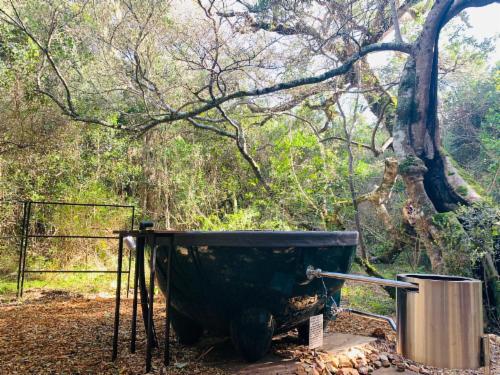 Olive Cabin