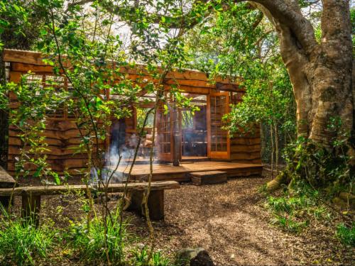 Bush Buck Suite