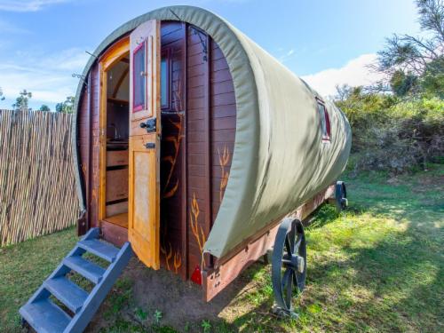 Glen Eden Ranch Aloe Pod