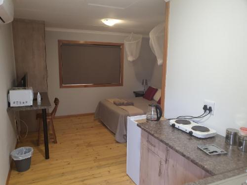 Zebra, Whorthog, Giraffe