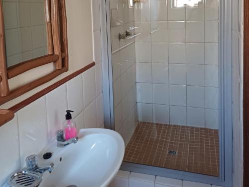 Double Room (Shower)