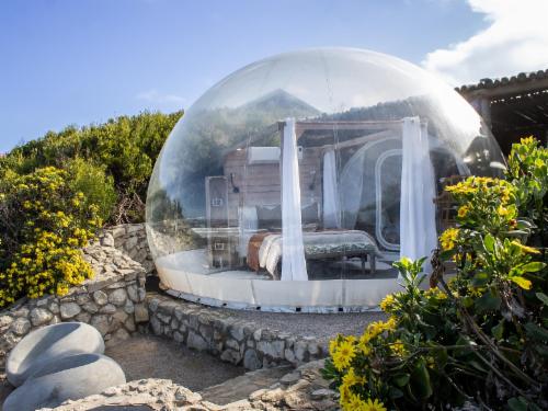 Bubble