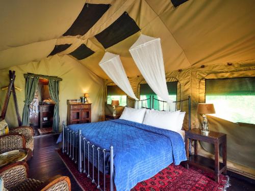 Guinea fowl Classic Tent