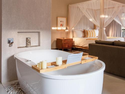 Moya Suite