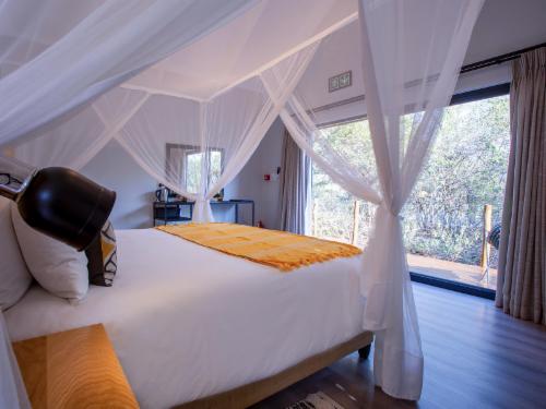 Nthaba Suite