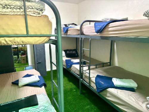 12. Sea Star (Single d/bunk bed)