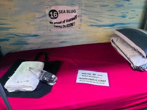 13. Sea Otter (Single d/bunk bed)