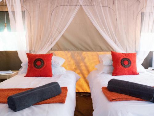 Southern Sands Eco Lodge - Tent 1