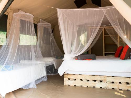 Southern Sands Eco Lodge - Tent 2