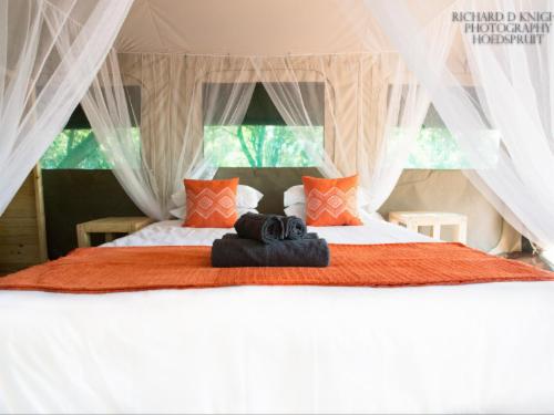 Southern Sands Eco Lodge - Tent 2