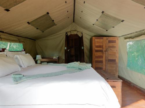Family Tent - 4 Sleeper