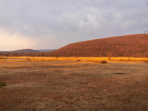  Bushbuck Cottage