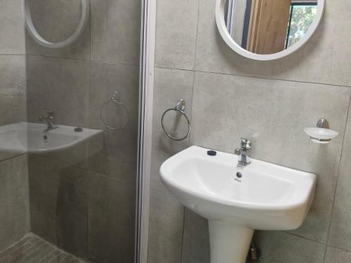 Double Studio Apartment 6