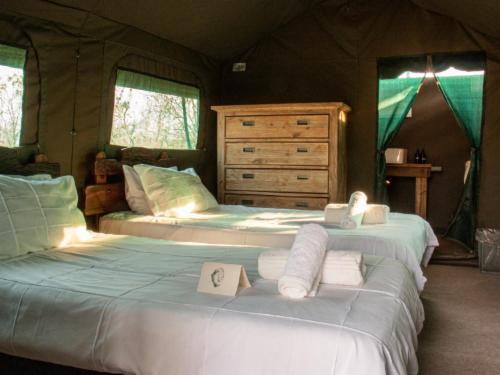 Meru Family Tent 8