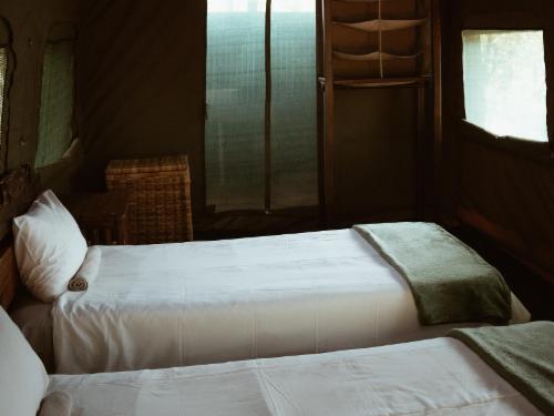 Meru Family Tent 8