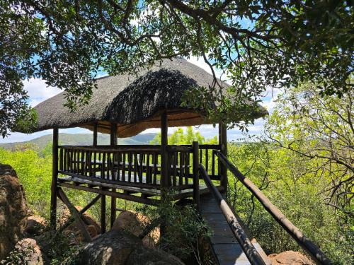 Leopard's Haven