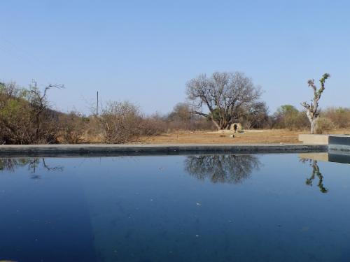 Elephant Lodge - 251