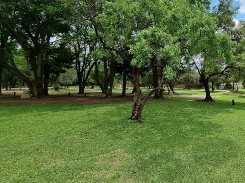 Group 1 Camp Sites