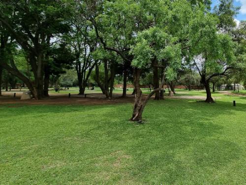 Group 5 Camp Sites