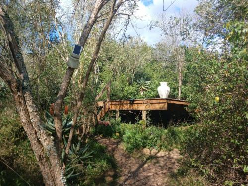 Milkwood Wooden deck campsite