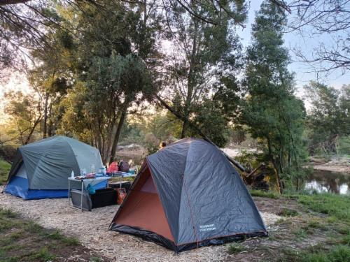 Gaia Family Campsite
