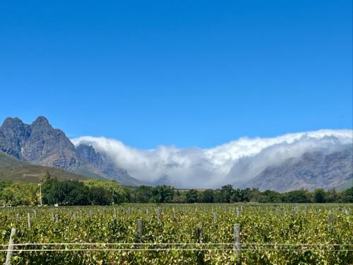 Villa Vino Vista