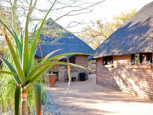 Luxury 4 Sleeper Chalet 1