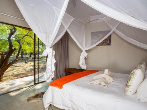 Family Bush Suite