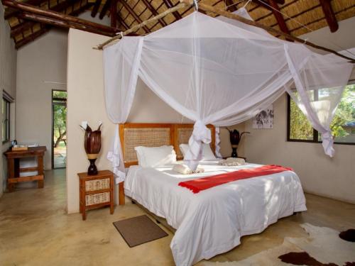 Bush Suite