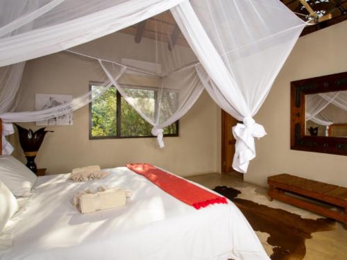 Bush Suite