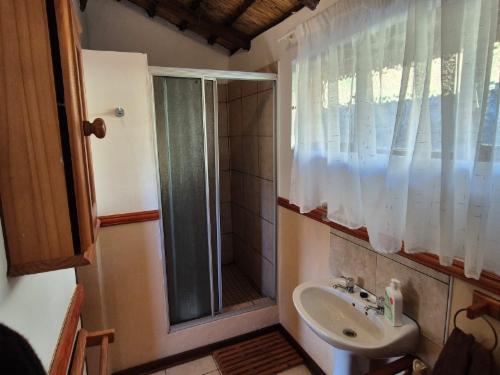 Thekwanes Nest Studio