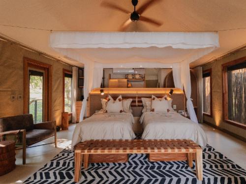 Superior Suite