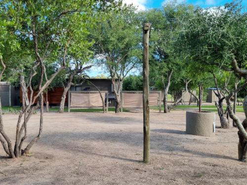 Campsite 3