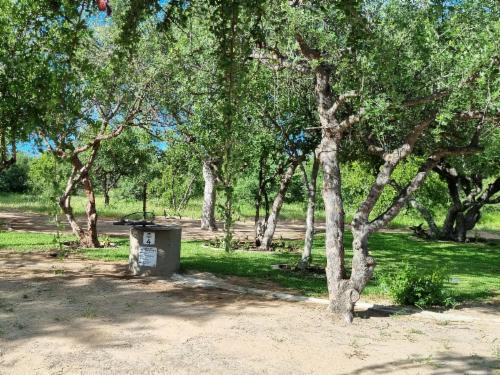 Campsite 4