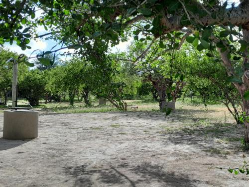 Campsite 5