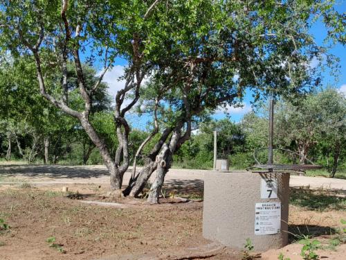 Campsite 7