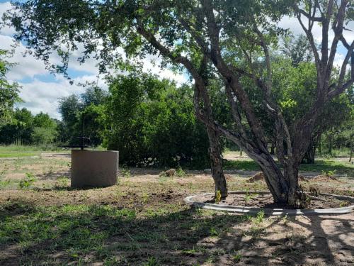 Campsite 7
