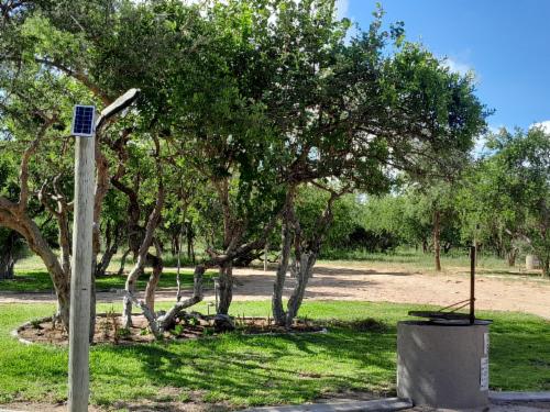 Campsite 8