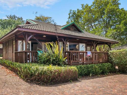 Knysna - Oyster Catcher